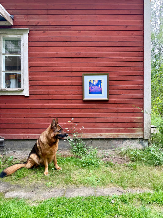 Mellansfär