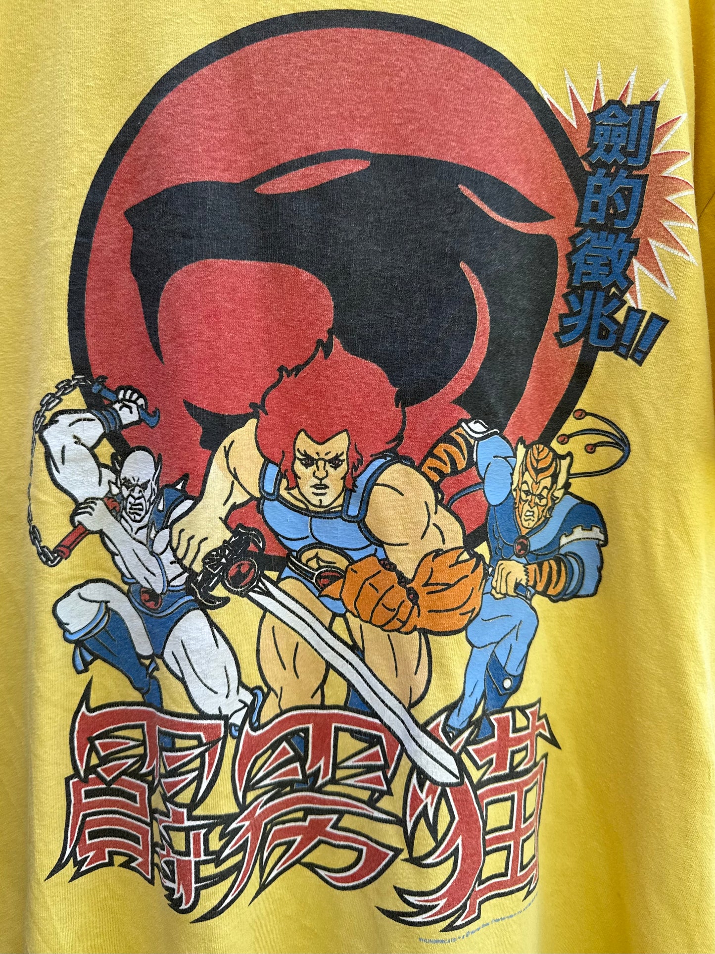 Vintage Thundercats-tisha