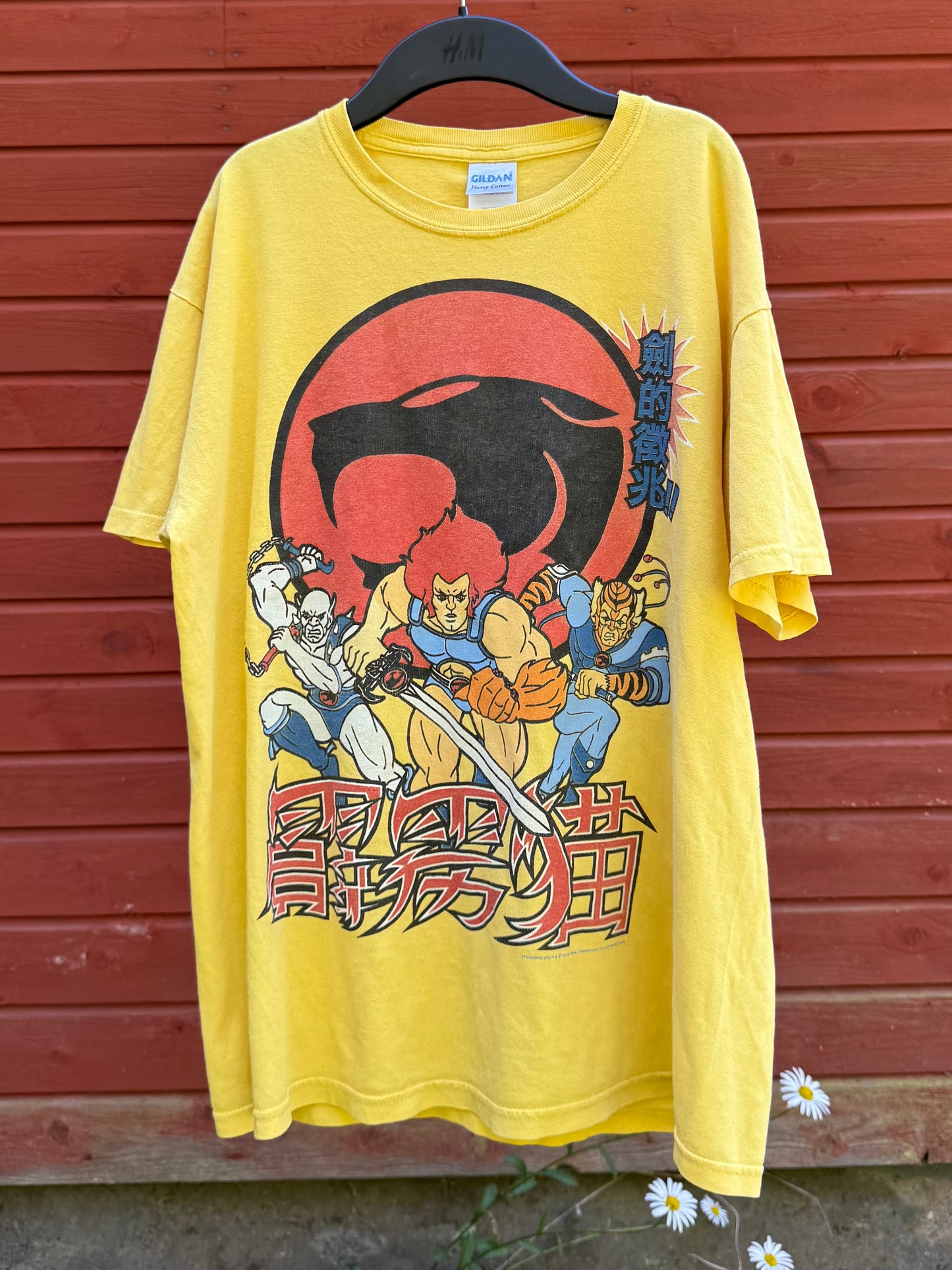 Vintage Thundercats-tisha